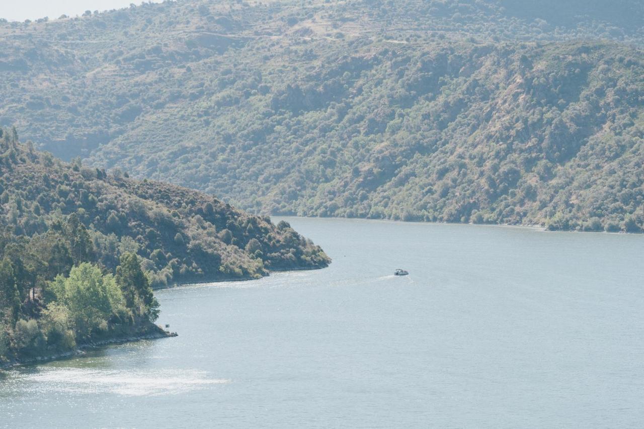 Casa Das Arribas - Rio Douro Aos Seus Pes Bemposta  Buitenkant foto