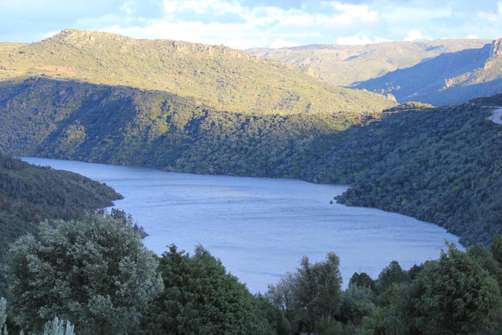 Casa Das Arribas - Rio Douro Aos Seus Pes Bemposta  Buitenkant foto